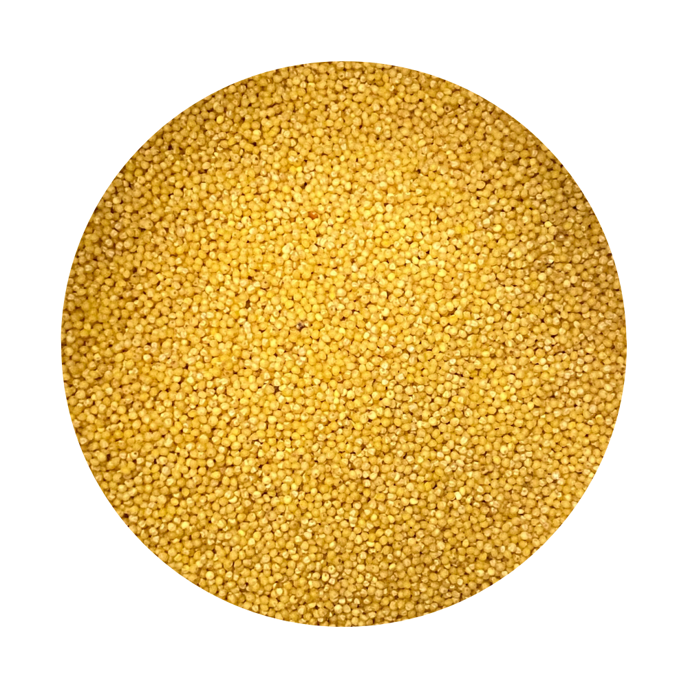 Framed Millet Groats