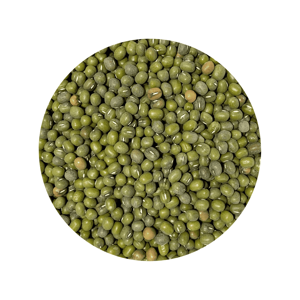 Framed Mung Beans seeds
