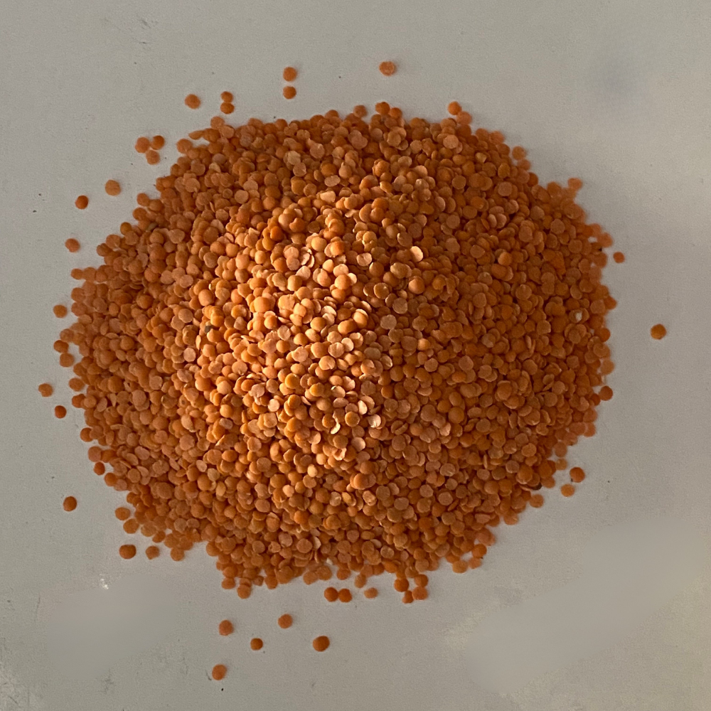 Red Split Lentils
