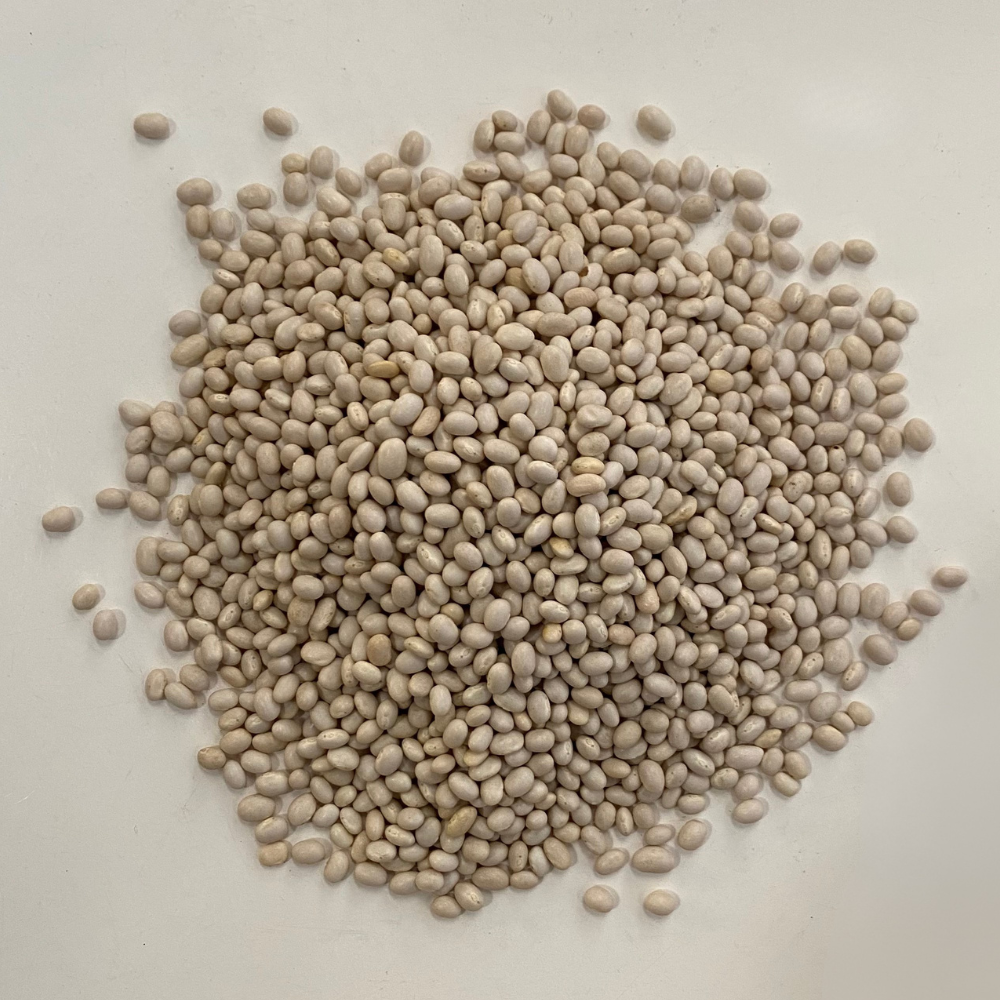 White Beans (Haricot)