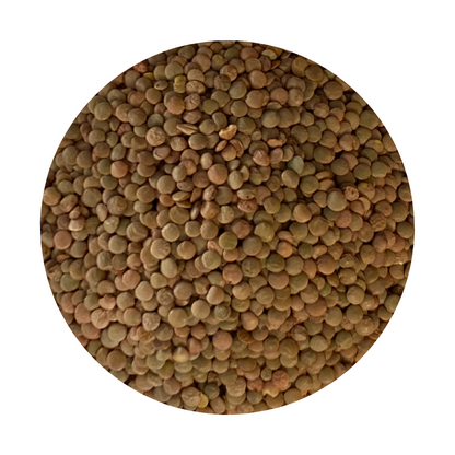 Green Lentils framed