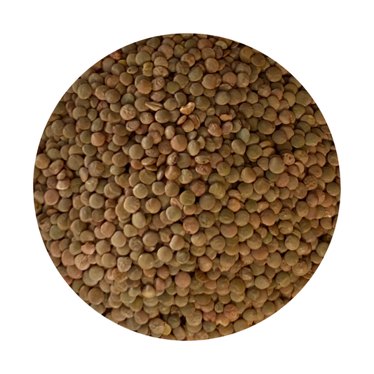 Green Lentils framed