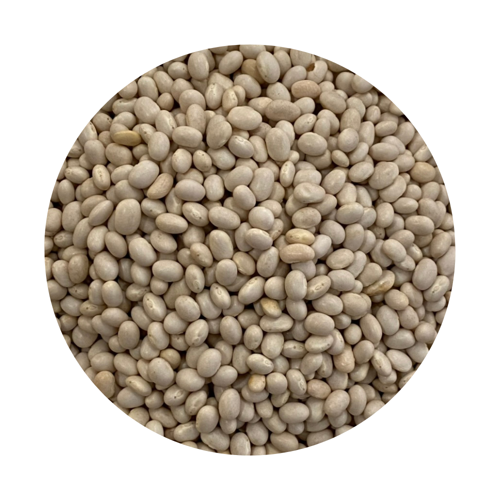 Framed White Beans (Haricot)